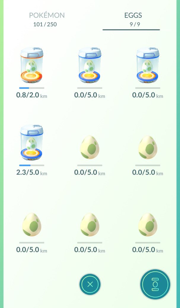 Что представляют собой яйца в Покемон Гоу