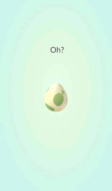 Как выглядят яйца в Pokemon GO?