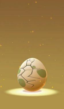 Зачем нужны яйца в Pokemon GO?